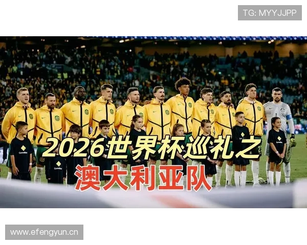 澳大利亚队2026世界杯出线前景分析：能否突破小组赛重围