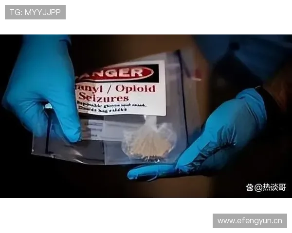E组晋级关键因素盘点 E组晋级关键因素盘点